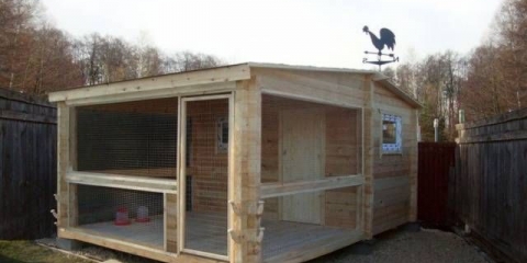 Kako napraviti sam kokošinjac za 50 kokoši